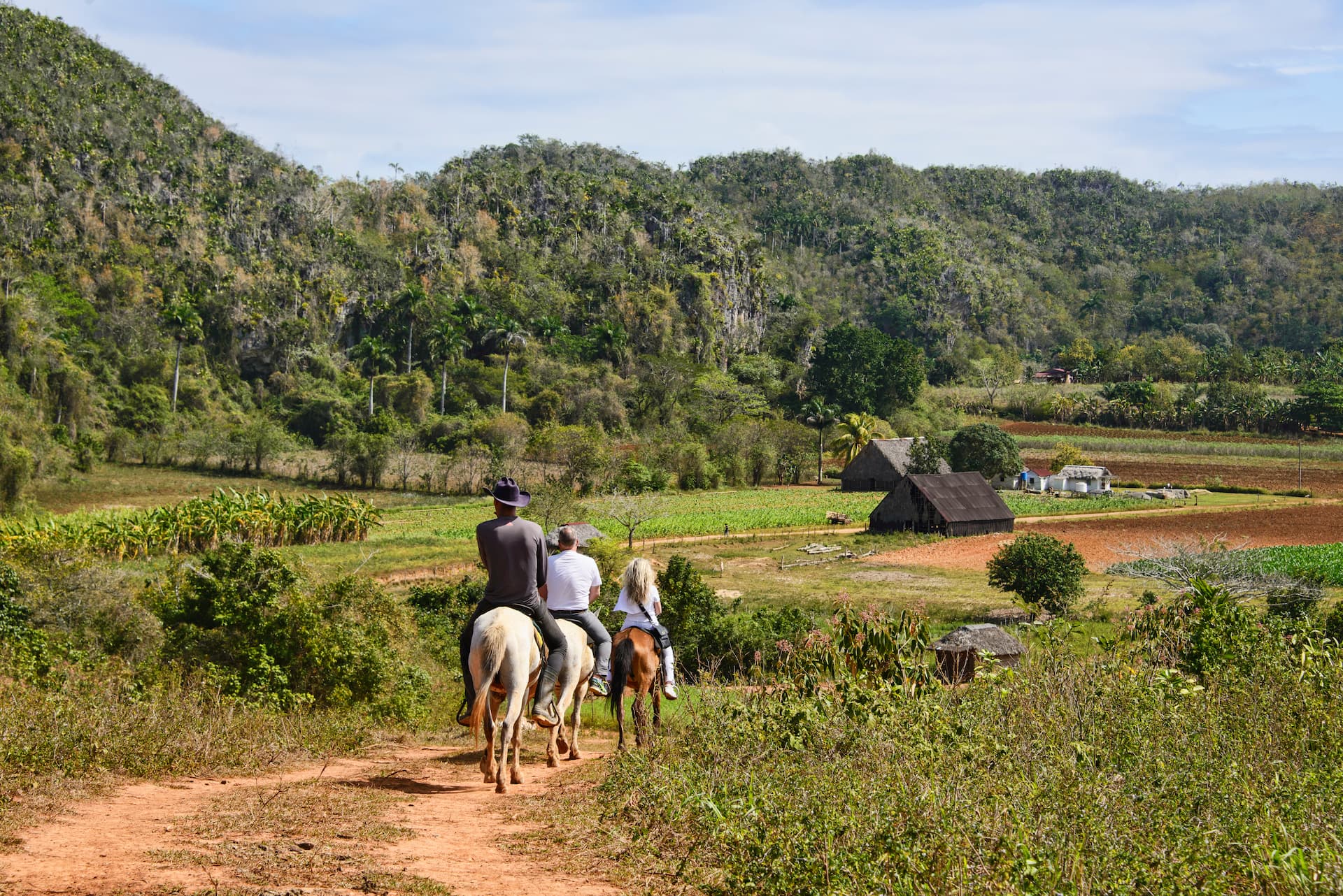 Person Riding a Horse in Vinales And Cayo Levisa | Cuba Holidays | The Ultimate Travel Company