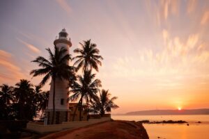 Lighthouse and Palm Trees at Sunrise | Sri Lanka Holidays | The Ultimate Travel Company