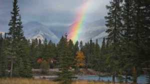 Alpine-Village-Cabin-Resort-Jasper