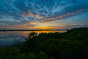 Anavilhanas Jungle Lodge, Northern Amazon | Luxury Brazil Holidays | The Ultimate Travel Company