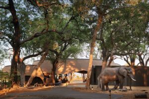 Eagle Island Lodge, a Belmond Safari, Botswana