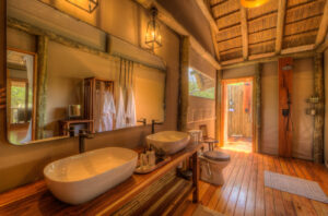 Dinaka, Central Kalahari Game Reserve