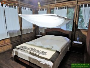 Chalalán Ecolodge | Bolivia | Ultimate Travel Company