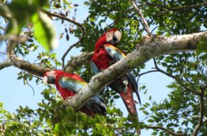 Mashaquipe Ecolodge | Bolivia | Ultimate Travel Company