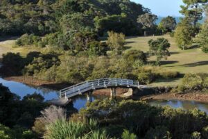 970 Lonely Bay Lodge| Coromandel| Ultimate Travel Company