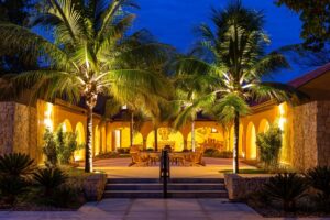 Caiman, Southern Pantanal The Ultimate Travel Company