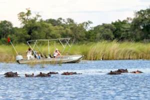 Camp Moremi, Okavango Delta
