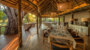 Camp Moremi, Okavango Delta