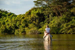 Corocora Camp, Los Llanos | Ultimate Travel Co