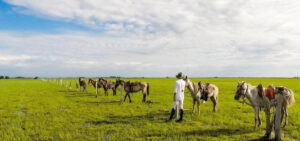 Corocora Camp, Los Llanos | Ultimate Travel Co