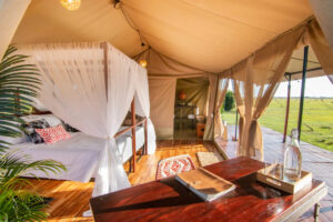 Corocora Camp, Los Llanos | Ultimate Travel Co