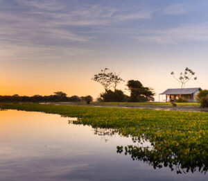 Corocora Camp, Los Llanos | Luxury Uruguay Holidays | The Ultimate Travel Company