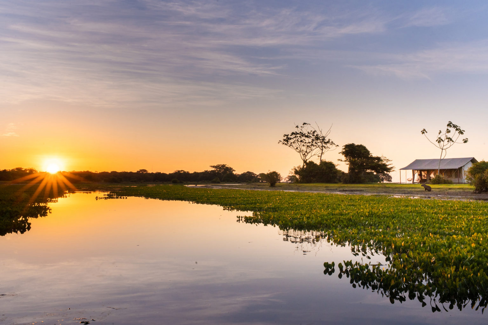 Corocora Camp, Los Llanos | Luxury Uruguay Holidays | The Ultimate Travel Company