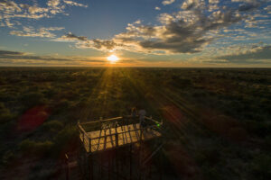 Dinaka, Central Kalahari Game Reserve