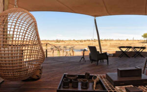 Somalisa Camp | Luxury Hotel | Ultimate Travel Company