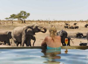 Somalisa Camp | Luxury Hotel | Ultimate Travel Company