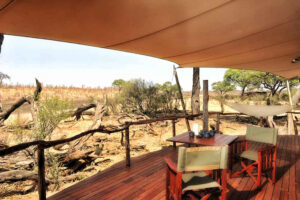 Somalisa Camp | Luxury Hotel | Ultimate Travel Company