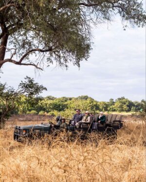 Kakuli Camp, South Luangwa National Park | Luxury Zambia Safaris | The Ultimate Travel Company