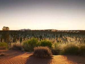 Longitude 131 | Luxury Hotel | Ultimate Travel Company