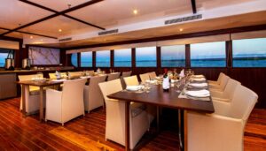 Galapagos Odyssey, Galapagos Islands | The Ultimate Travel Company