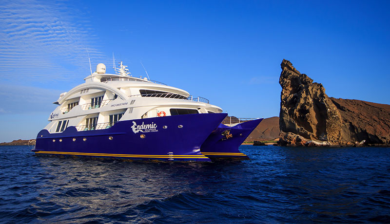 Endemic, Galapagos Islands | The Ultimate Travel Company