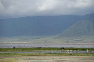 Entamanu Ngorongoro, Ngorongoro Crater | The Ultimate Travel Company