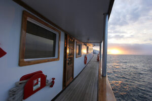 Evolution, Galapagos Islands | The Ultimate Travel Company