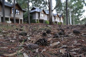 Carmelo Resort & Spa | Uruguay | Ultimate Travel Company