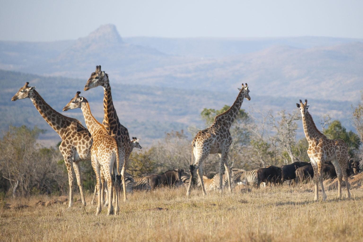 Fugitives’ Drift Lodge, Rorke’s Drift | The Ultimate Travel Company