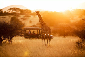 Ol Donyo Lodge | Kenya | Ultimate Travel Company