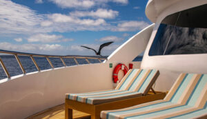 Endemic, Galapagos Islands | The Ultimate Travel Company