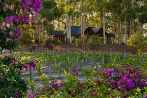 Carmelo Resort & Spa | Uruguay | Ultimate Travel Company