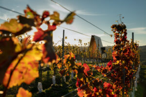 Sacromonte | Uruguay | Ultimate Travel Company