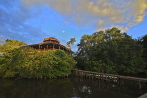 La Selva Ecolodge, Amazon | The Ultimate Travel Company