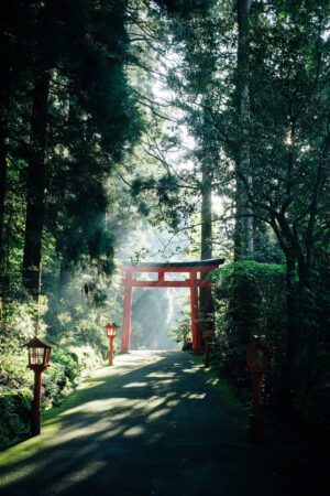 Gate in Hakone | Luxury Japan Holidays | The Ultimate Travel Company