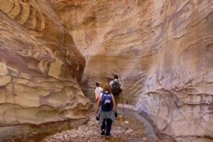 Feynan Ecolodge | Jordan | Ultimate Travel Company