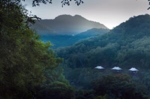 Rosewood Luang Prabang | Laos | forest | The Ultimate Travel Company