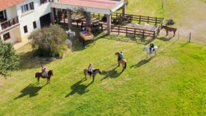 Finca Piedra | Uruguay | Ultimate Travel Company