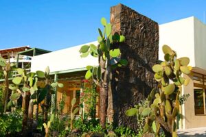 Finch Bay Hotel, Santa Cruz | The Ultimate Travel Company