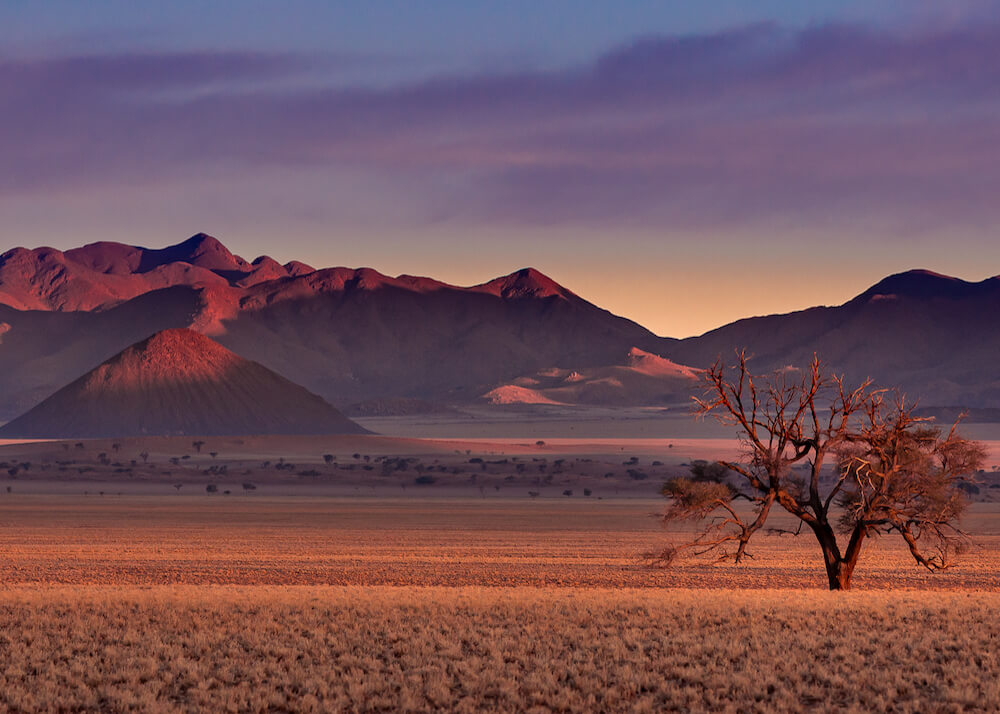 Twilight Hues Over a Lone Tree and Mountainous Desert Landscape of Kwessi Dunes in Sossusvlei | Luxury Namibia Holidays | The Ultimate Travel Company