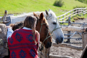 Las Torres | Luxury Hotel | Ultimate Travel Company