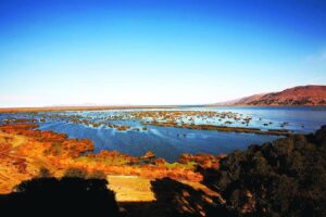 Hotel Lago Titicaca, Lake Titicaca