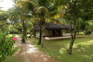 Marari Beach Resort, Alleppey