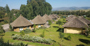 Mayleko Lodge, Gondar