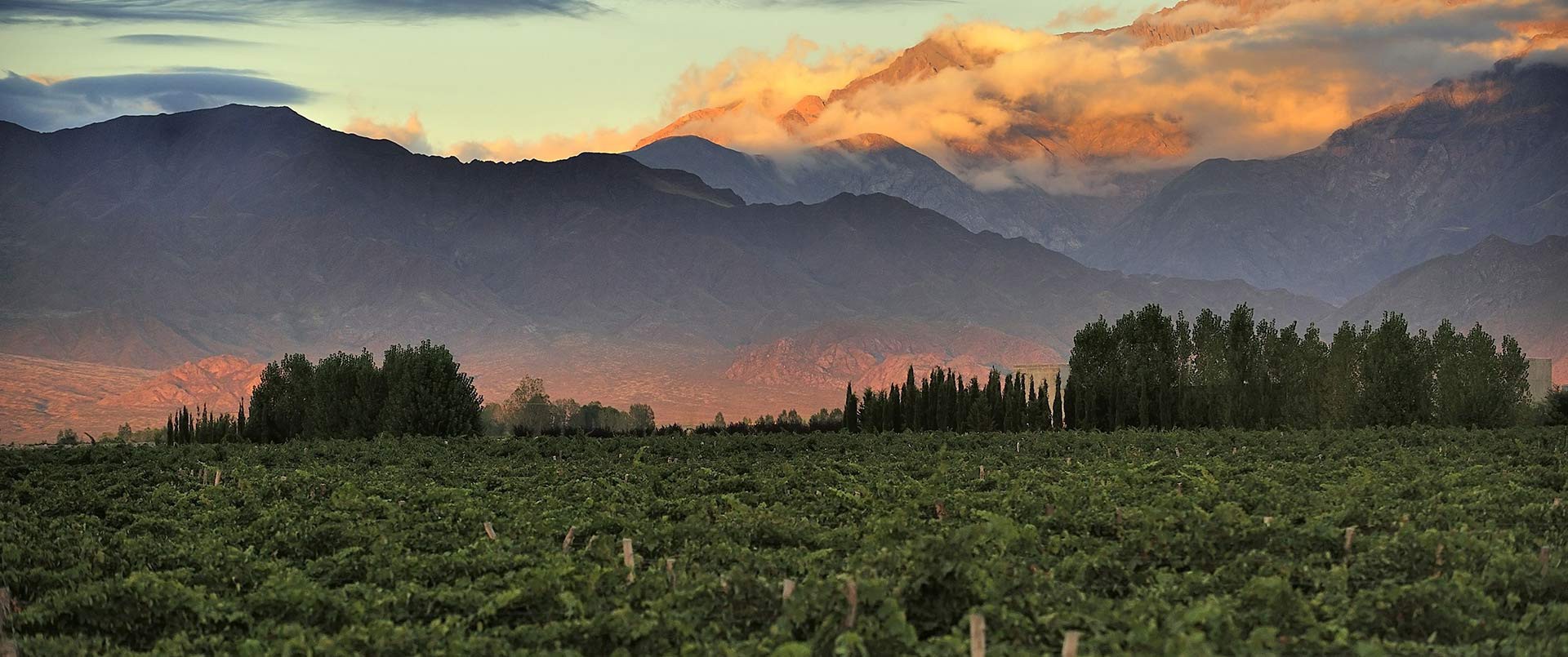 Club Tapiz, Chacras De Coria, Wine Region | The Ultimate Travel Company