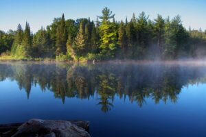 Muskokas and Algonquin