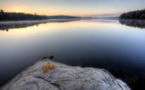 Muskokas and Algonquin