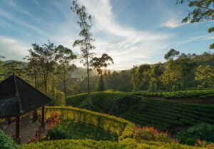 Ceylon Tea Trails | Castlereagh Reservoir | Ultimate Travel Company