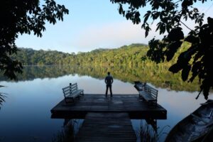 Chalalán Ecolodge | Bolivia | Ultimate Travel Company