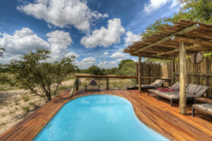 Dinaka, Central Kalahari Game Reserve